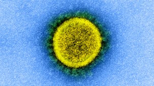 coronavirus phishing scams