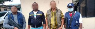 alleged Nigerian cybercriminals arrested