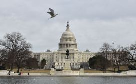 Congress, lawmakers, U.S. Capitol Building, incident reporting, CISA
