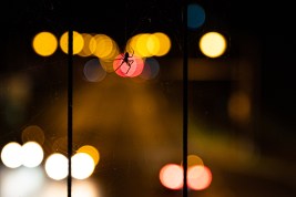 A spider hangs from the railing of a pedestrian bridge. (Moritz Frankenberg/Getty Images)