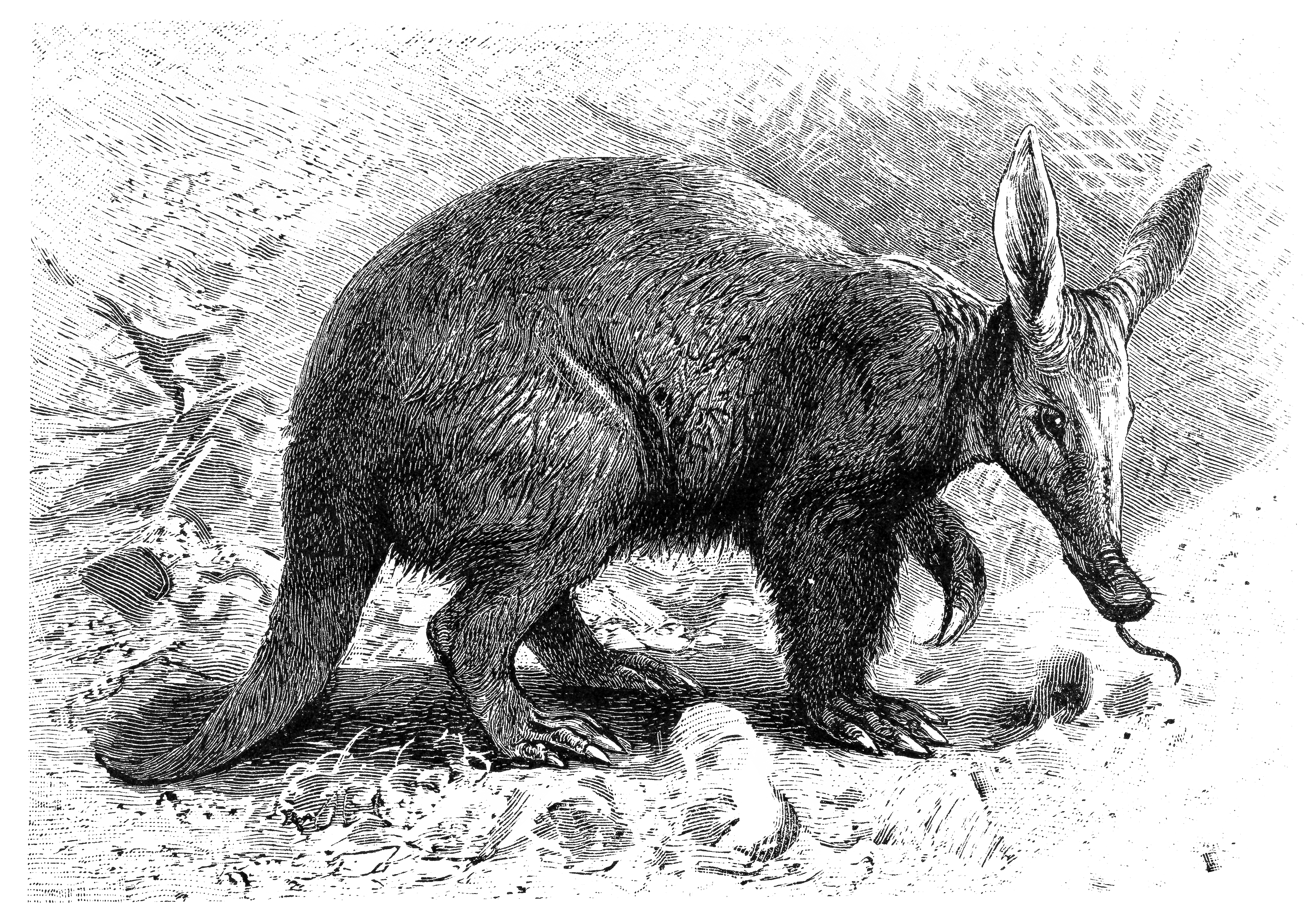 OpenAI releases Aardvark’ security and patching model