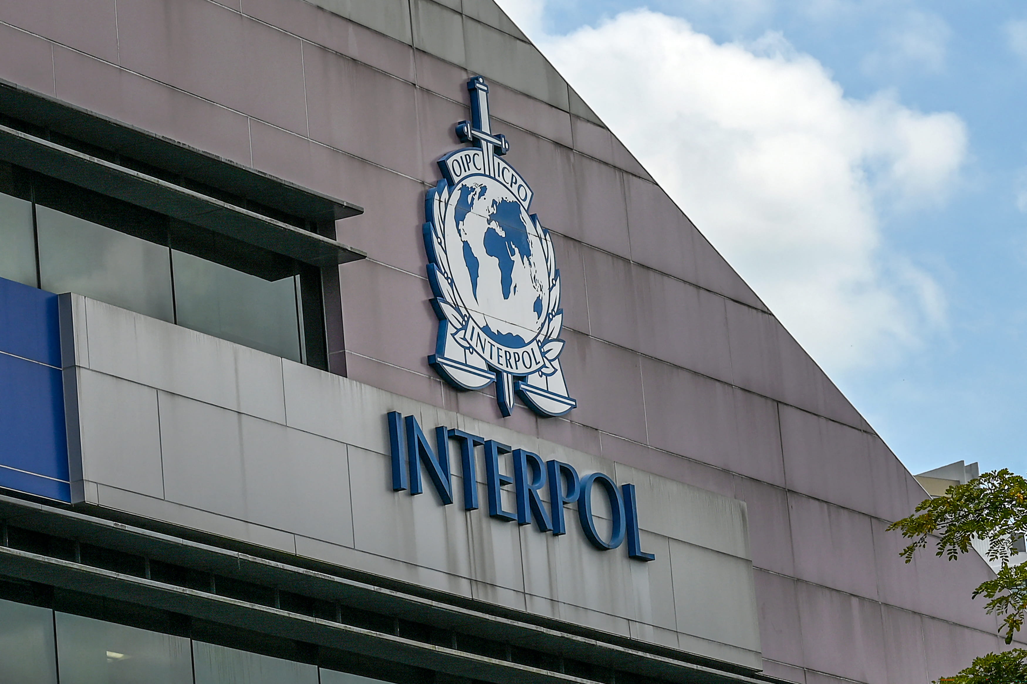 Interpol targets Black Axe’s illicit financial web in latest international sting