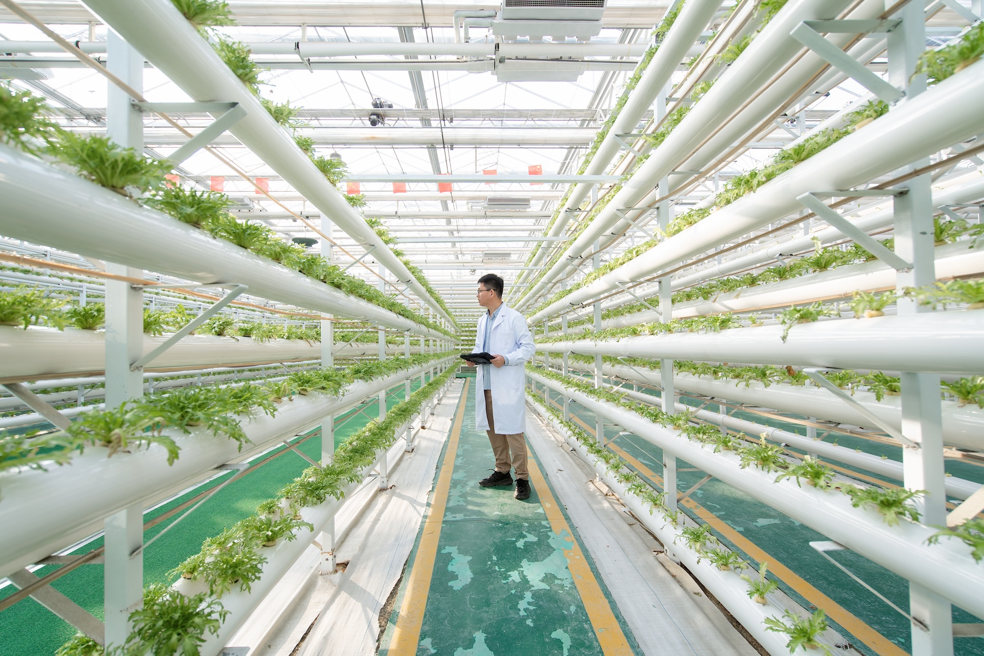 Lawmakers propose bills for CISA to defend biotech as critical infrastructure